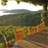 Mount Eden Vineyards and Domaine Eden