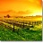 A SHORT LIST OF NEW WINES TO START THE YEAR